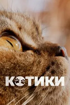 Котики онлайн